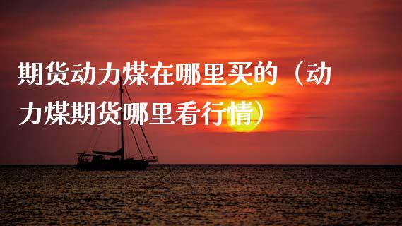 期货动力煤在哪里买的（动力煤期货哪里看行情）