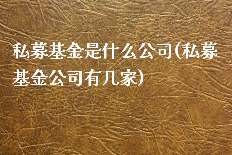 私募基金是什么公司(私募基金公司有几家)