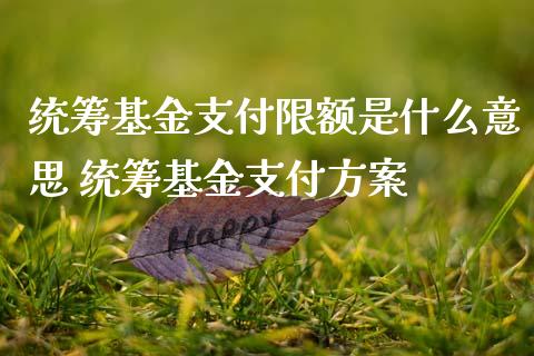 统筹基金支付限额是什么意思 统筹基金支付方案
