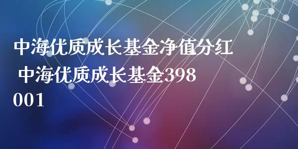中海优质成长基金净值分红 中海优质成长基金398001