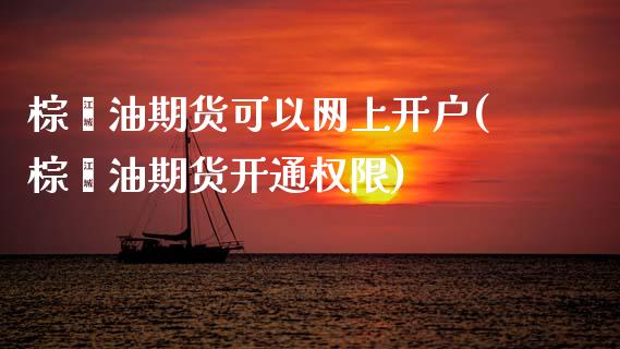 棕榈油期货可以网上开户(棕榈油期货开通权限)