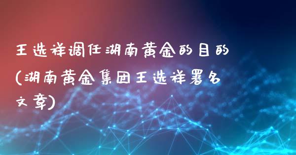 王选祥调任湖南黄金的目的(湖南黄金集团王选祥署名文章)