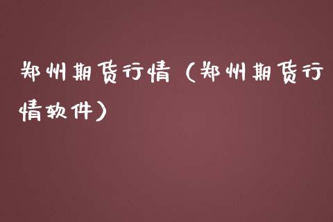 郑州期货行情（郑州期货行情软件）