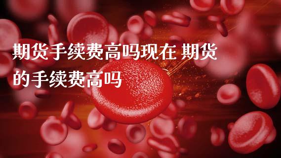 期货手续费高吗现在 期货的手续费高吗