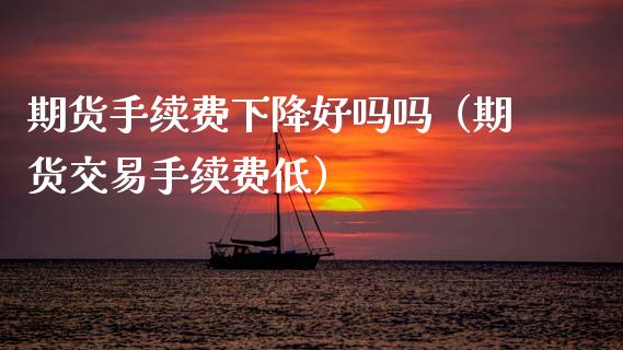 期货手续费下降好吗吗（期货交易手续费低）