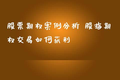 股票期权案例分析 股指期权交易如何获利