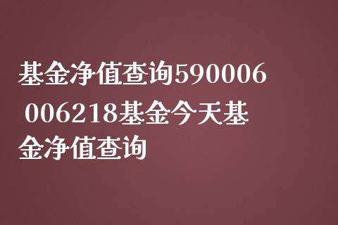 基金净值查询590006 006218基金今天基金净值查询