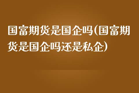 国富期货是国企吗(国富期货是国企吗还是私企)