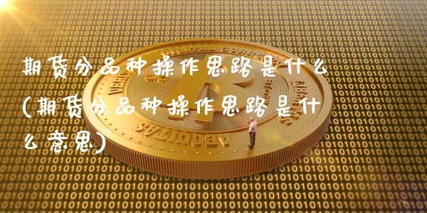 期货分品种操作思路是什么(期货分品种操作思路是什么意思)