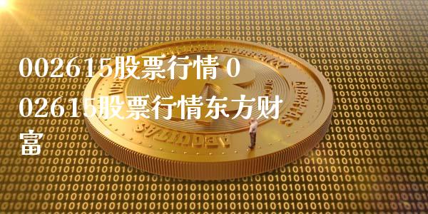 002615股票行情 002615股票行情东方财富