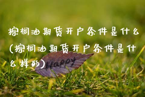 棕榈油期货开户条件是什么(棕榈油期货开户条件是什么样的)