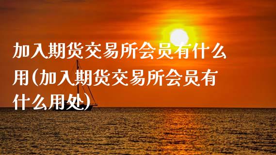 加入期货交易所会员有什么用(加入期货交易所会员有什么用处)