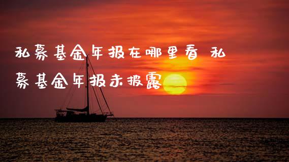 私募基金年报在哪里看 私募基金年报未披露