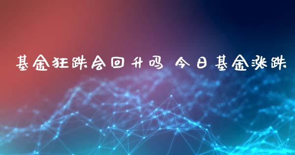 基金狂跌会回升吗 今日基金涨跌