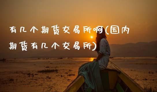 有几个期货交易所啊(国内期货有几个交易所)