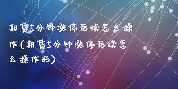期货5分钟涨停后续怎么操作(期货5分钟涨停后续怎么操作的)