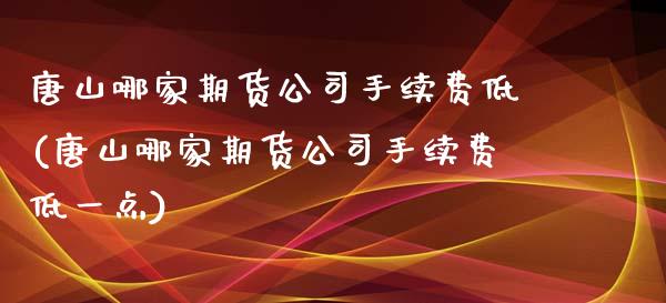 唐山哪家期货公司手续费低(唐山哪家期货公司手续费低一点)