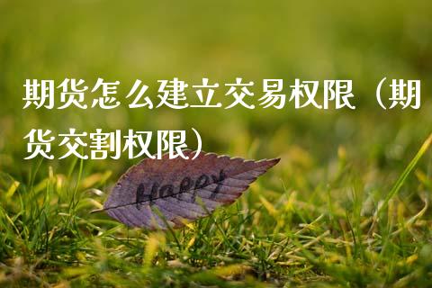 期货怎么建立交易权限（期货交割权限）