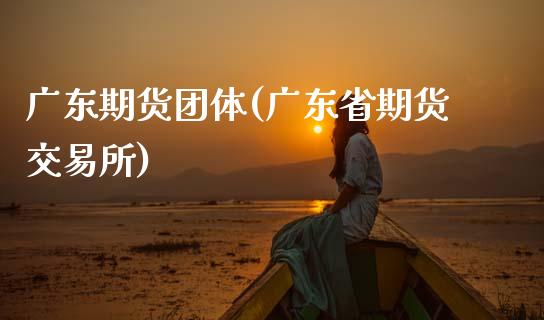 广东期货团体(广东省期货交易所)