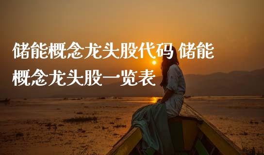储能概念龙头股代码 储能概念龙头股一览表