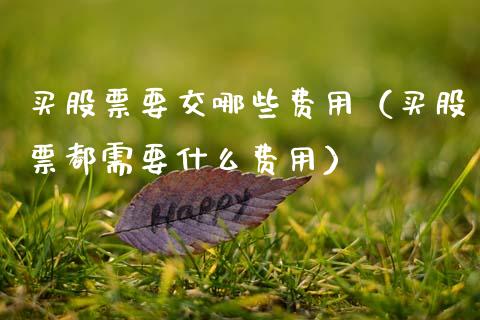 买股票要交哪些费用（买股票都需要什么费用）