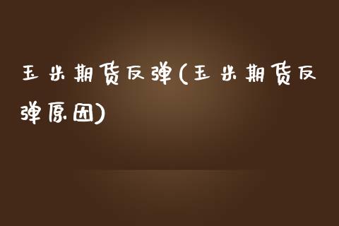 玉米期货反弹(玉米期货反弹原因)