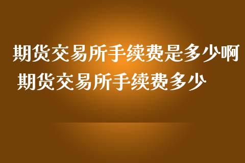 期货交易所手续费是多少啊 期货交易所手续费多少