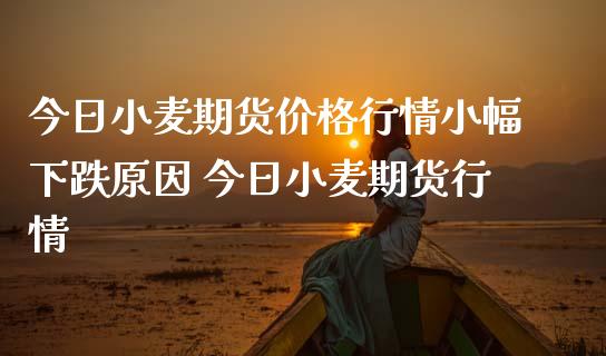 今日小麦期货价格行情小幅下跌原因 今日小麦期货行情
