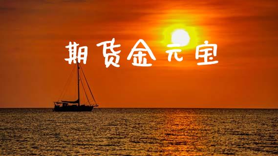 期货金元宝