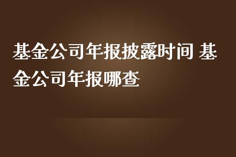 基金公司年报披露时间 基金公司年报哪查