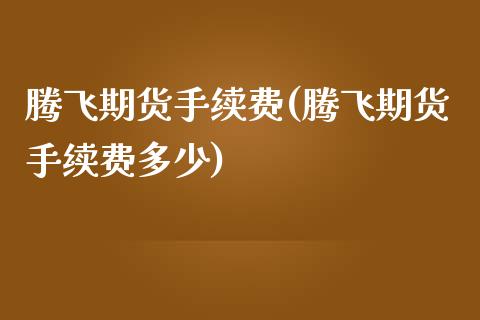 腾飞期货手续费(腾飞期货手续费多少)