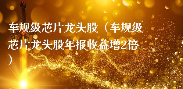 车规级芯片龙头股（车规级芯片龙头股年报收益增2倍）_https://www.dglong8.com_财经要闻_第1张