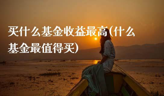 买什么基金收益最高(什么基金最值得买)