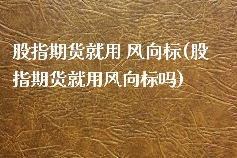 股指期货就用 风向标(股指期货就用风向标吗)