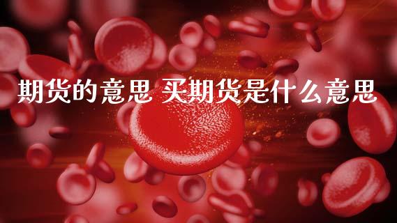 期货的意思 买期货是什么意思