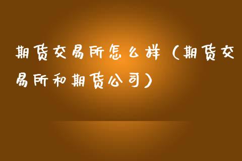 期货交易所怎么样(期货交易所和期货公司)_黄金期货_第1张_宇龙理财网 期货交易所怎么样(期货交易所和期货公司)_https://www.dglong8.com_黄金期货_第1张