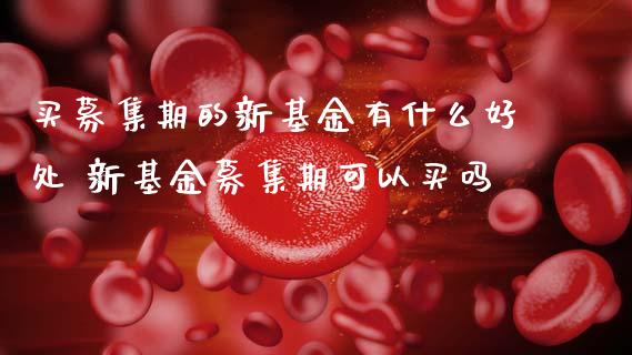 买募集期的新基金有什么好处 新基金募集期可以买吗