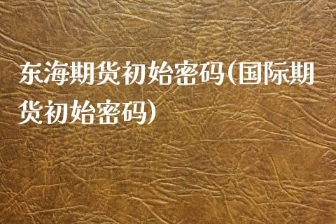 东海期货初始密码(国际期货初始密码)