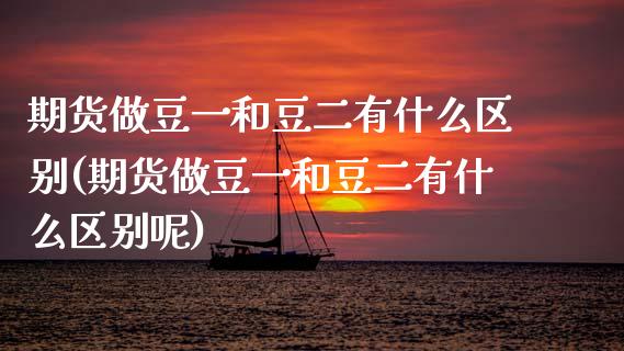 期货做豆一和豆二有什么区别(期货做豆一和豆二有什么区别呢)