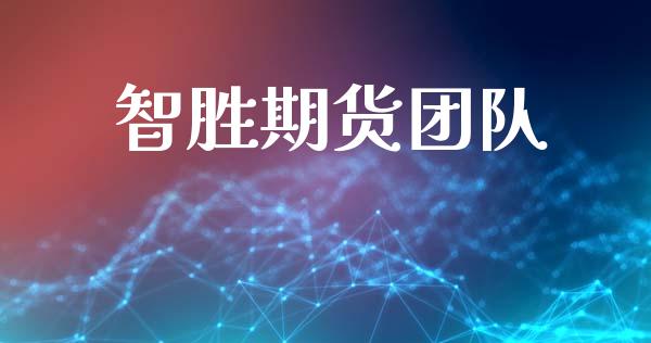 智胜期货团队