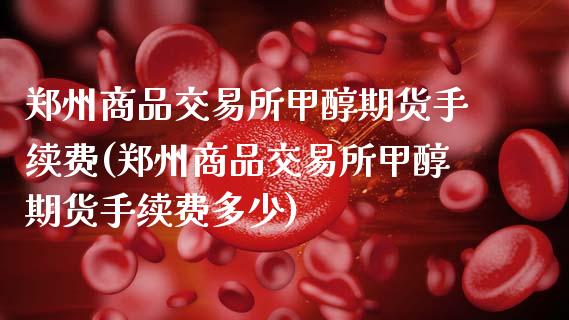 郑州商品交易所甲醇期货手续费(郑州商品交易所甲醇期货手续费多少)