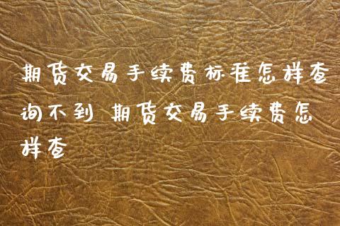期货交易手续费标准怎样查询不到 期货交易手续费怎样查