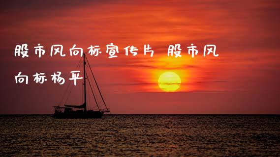 股市风向标宣传片 股市风向标杨平