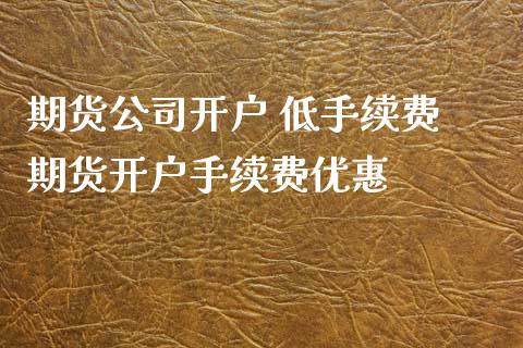 期货公司开户 低手续费 期货开户手续费优惠_https://www.dglong8.com_财经要闻_第1张