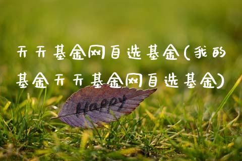 天天基金网自选基金(我的基金天天基金网自选基金)