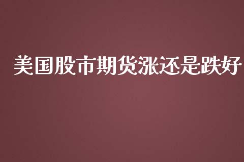 美国股市期货涨还是跌好