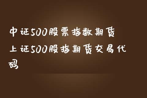 中证500股票指数期货 上证500股指期货交易代码