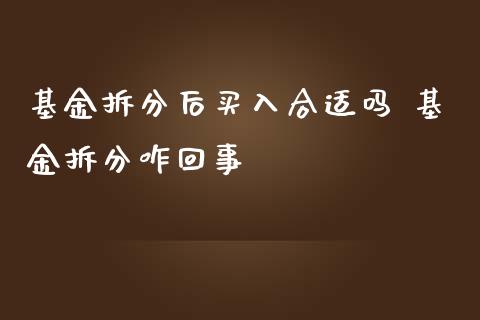 基金拆分后买入合适吗 基金拆分咋回事