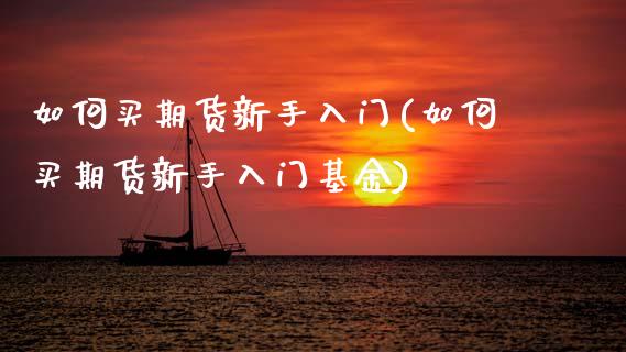如何买期货新手入门(如何买期货新手入门基金)