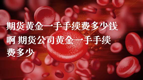 期货黄金一手手续费多少钱啊 期货公司黄金一手手续费多少